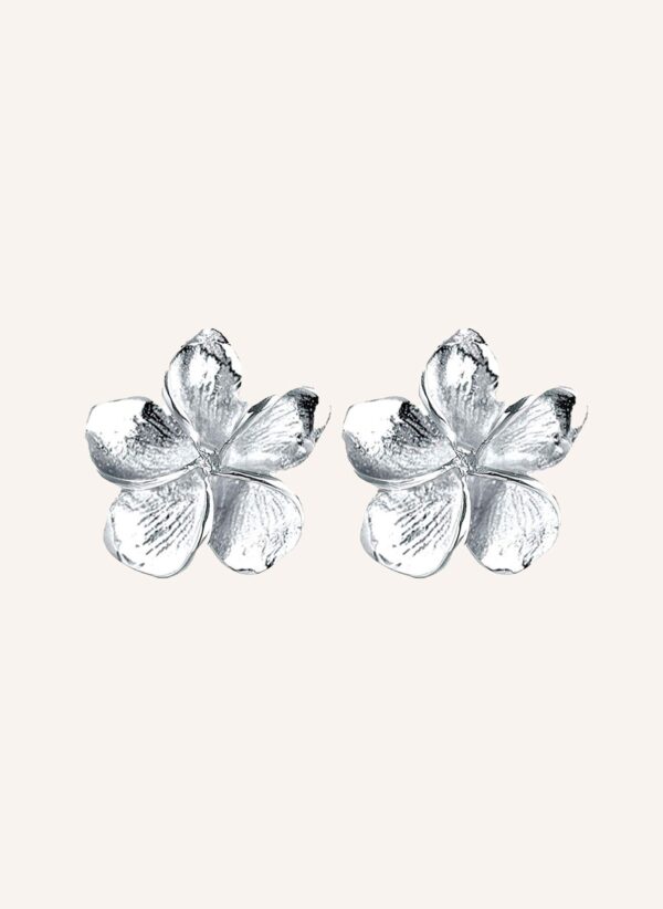 Boucles d’oreilles argent